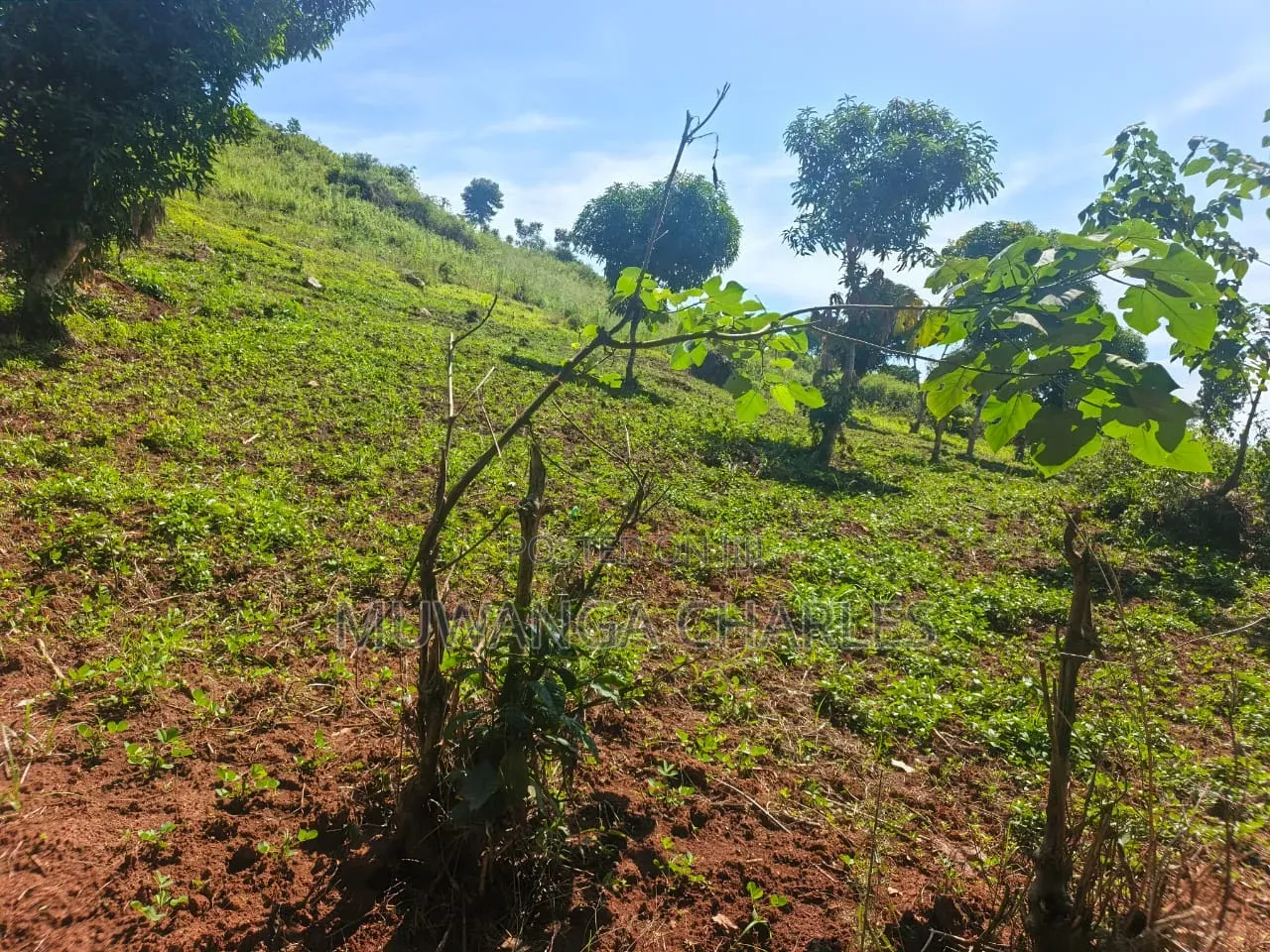 Land on Sale at Busula Bombo Road