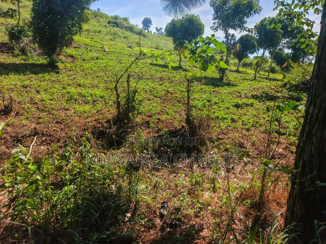Land on Sale at Busula Bombo Road