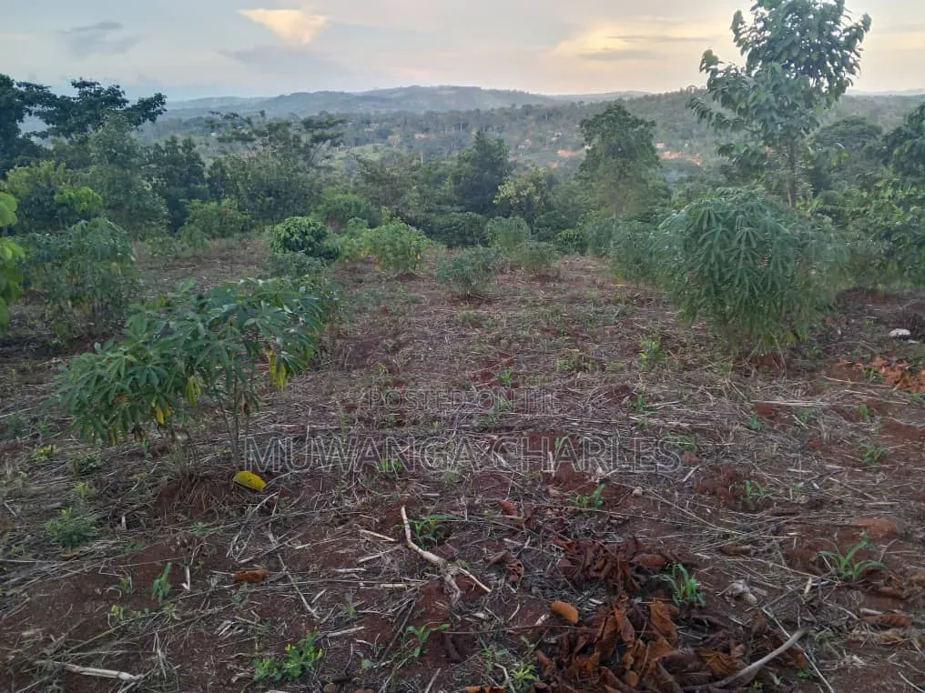 Land on Sale at Matugga Semuto