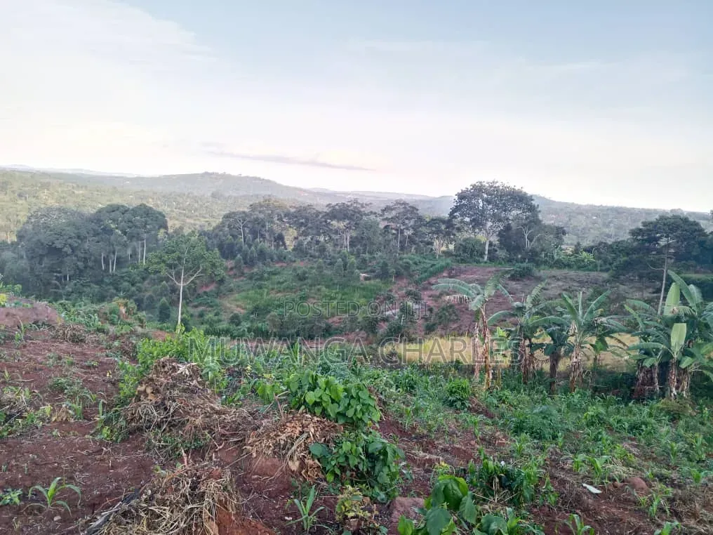 Land on Sale at Matugga Semuto