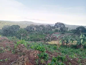 Land on Sale at Matugga Semuto