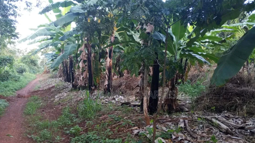 Land on Sale at Matugga Semuto