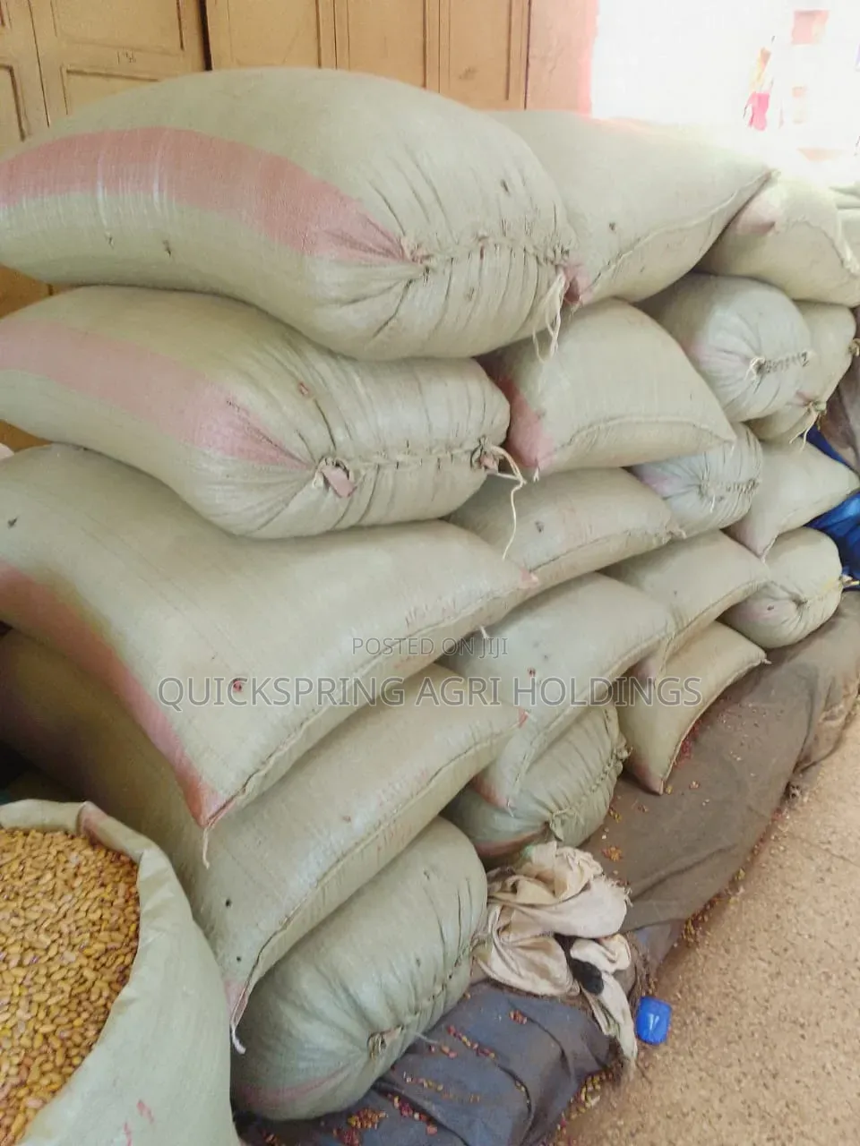 Bulk Produce Suppliers