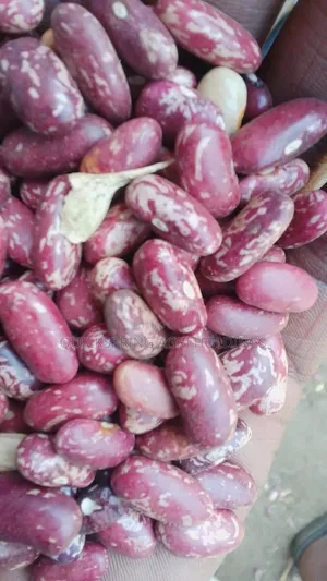 Bulk Produce Suppliers