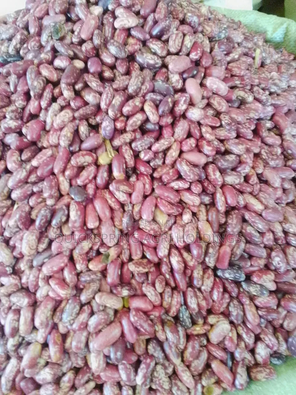 Bulk Produce Suppliers