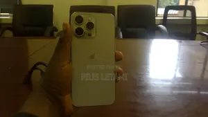 Apple iPhone 15 Pro Max 256 GB Silver