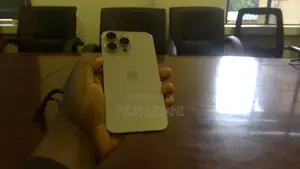Apple iPhone 15 Pro Max 256 GB Silver