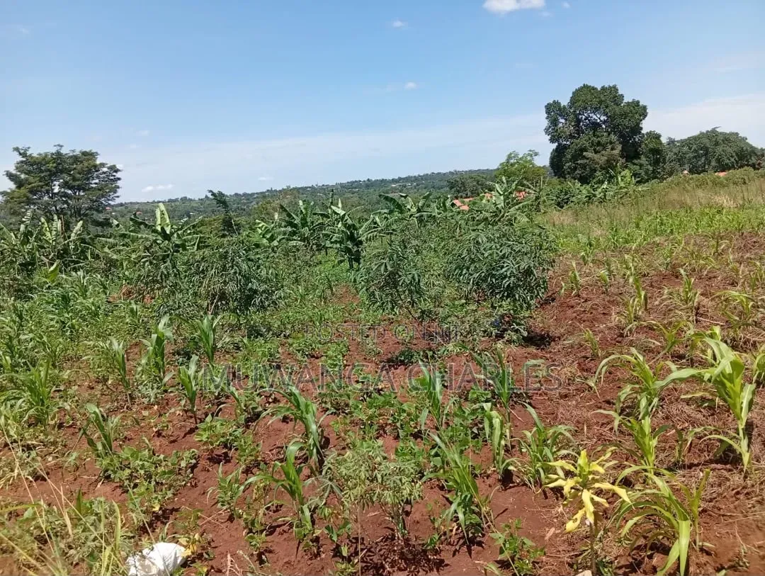 Land on Sale at Matugga Kalasa