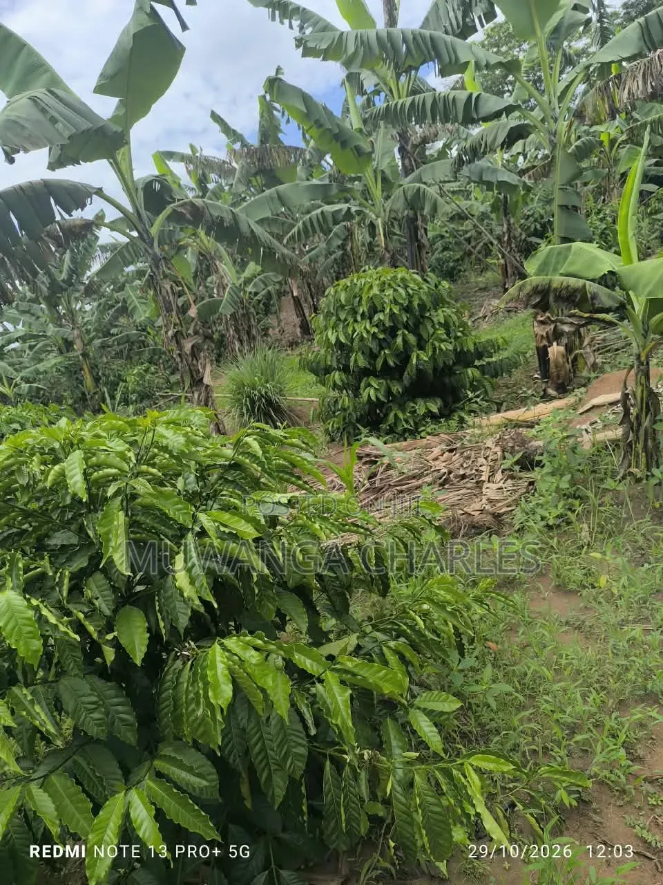 Land on Sale at Matugga Kalasa