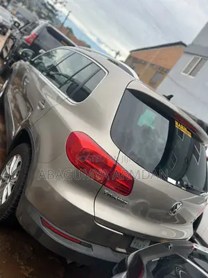 Volkswagen Tiguan SE 2013 Brown