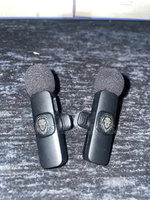 Two Lapel Mics
