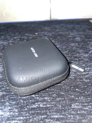 Two Lapel Mics