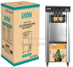 Winningstar Commercial Ice Cream Machine
