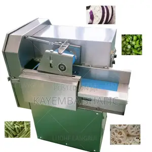 Commercial Conveyor Electric Vegetable Slicer & Cutter Machine 500kg