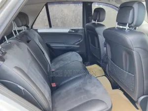 Mercedes-Benz M Class 2009 Silver