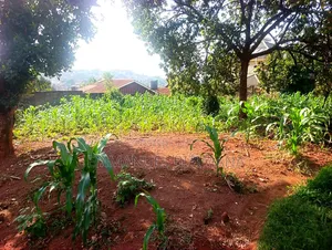 46 Decimals Makerere on Quick Sale