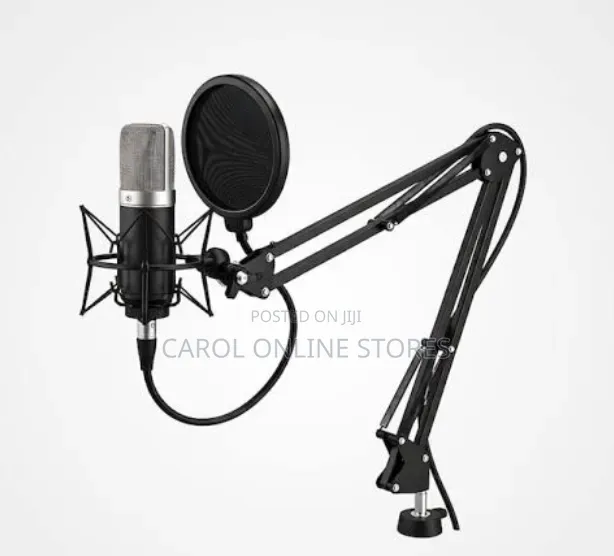Professional Recording Microphone Stand