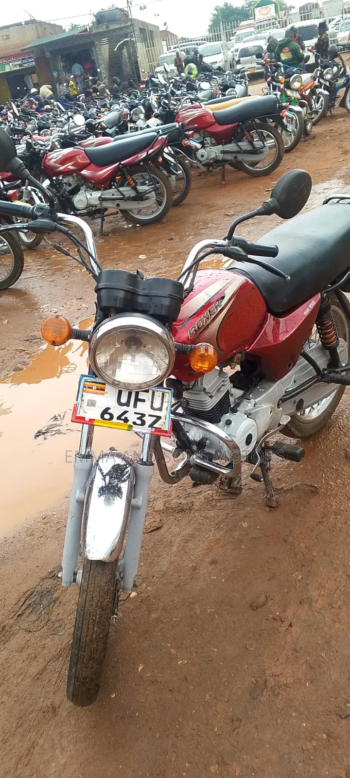 Bajaj Boxer 100 2019 Red