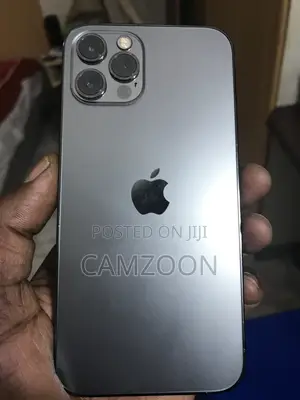 Apple iPhone 12 Pro 256 GB Gray