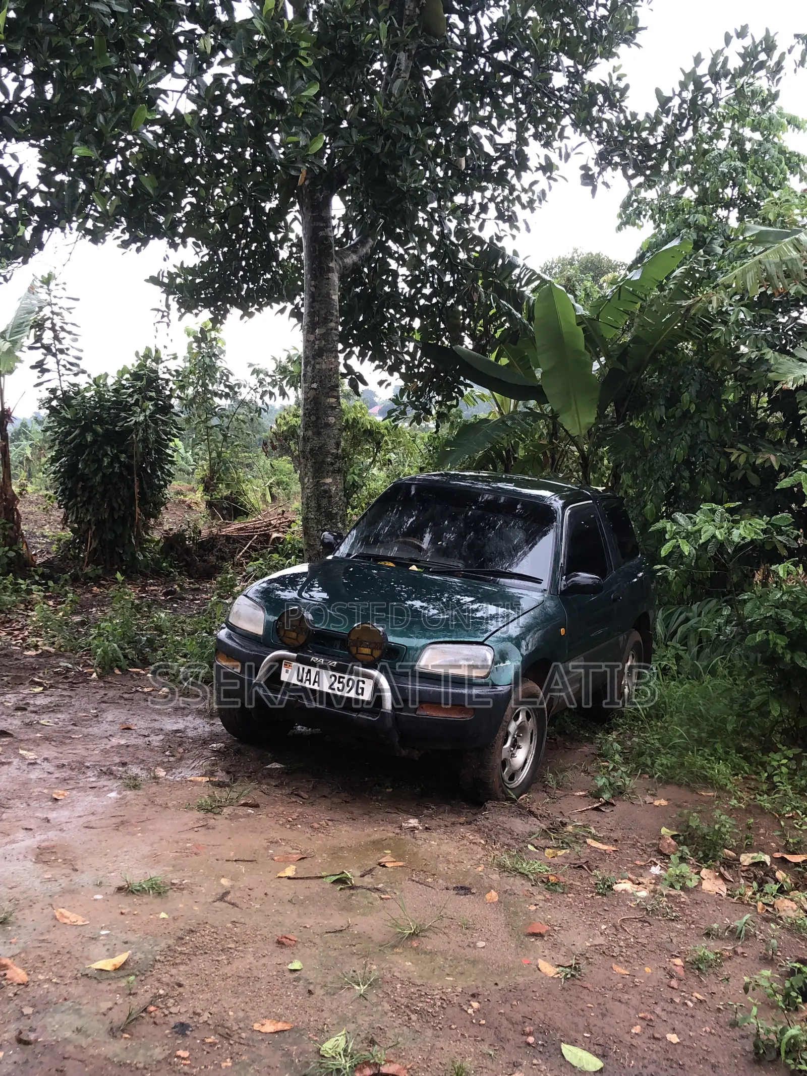 Toyota RAV4 2008 Green
