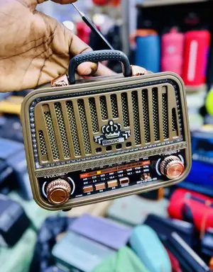 Vintage FM Radio Speaker