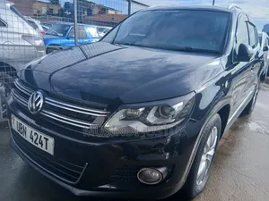 Volkswagen Tiguan 2010 Blue