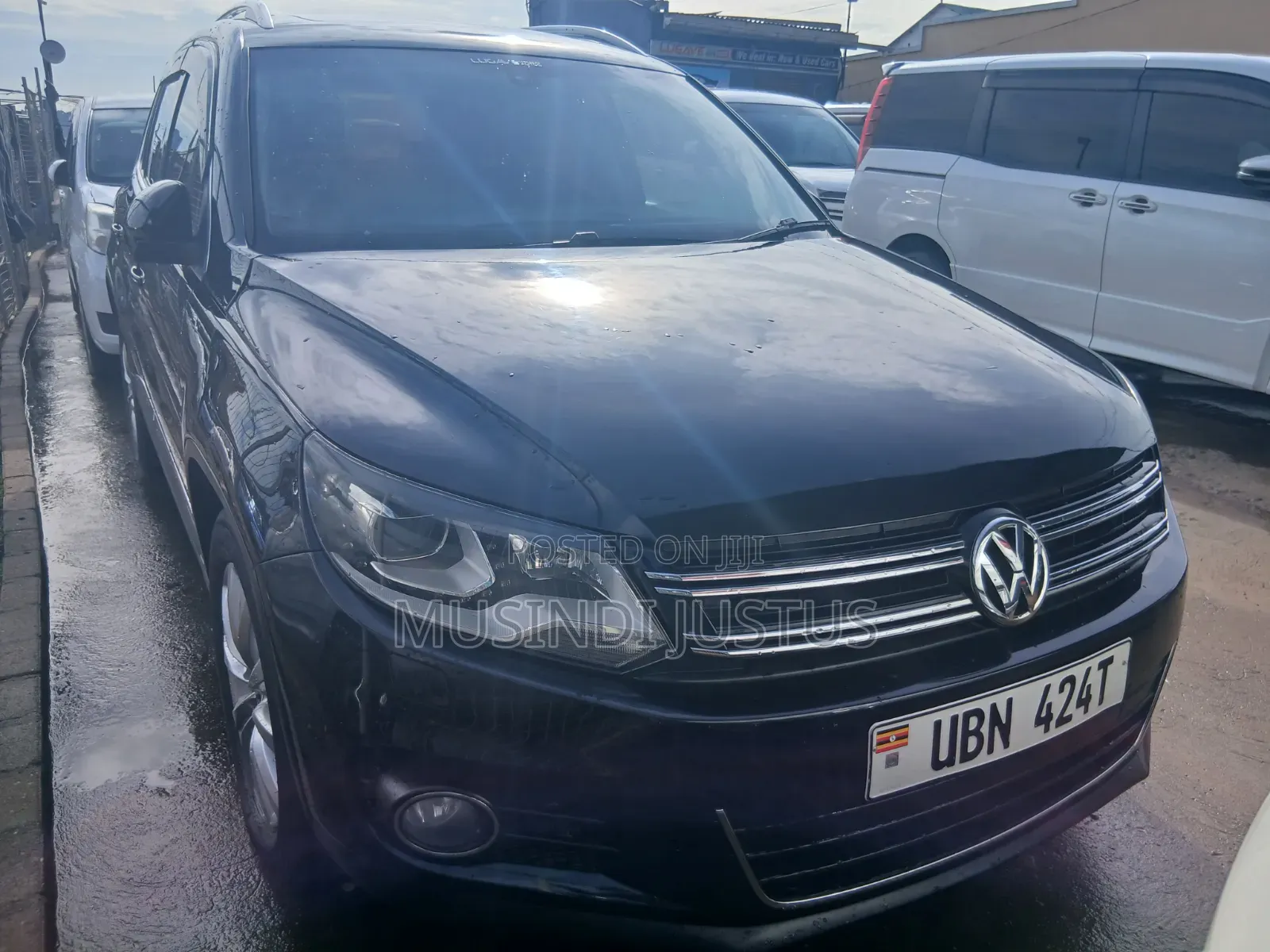 Volkswagen Tiguan 2010 Blue