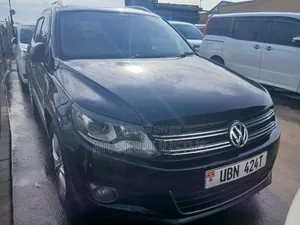 Volkswagen Tiguan 2010 Blue