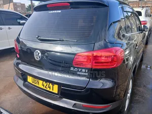 Volkswagen Tiguan 2010 Blue