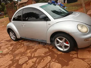 Volkswagen Beetle 2004 Silver