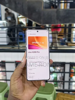 Vivo X200 Pro 512 GB Silver