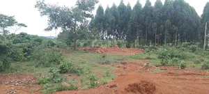 One Acreon Sale With Lake View at Buwaya