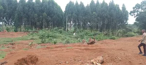 One Acreon Sale With Lake View at Buwaya