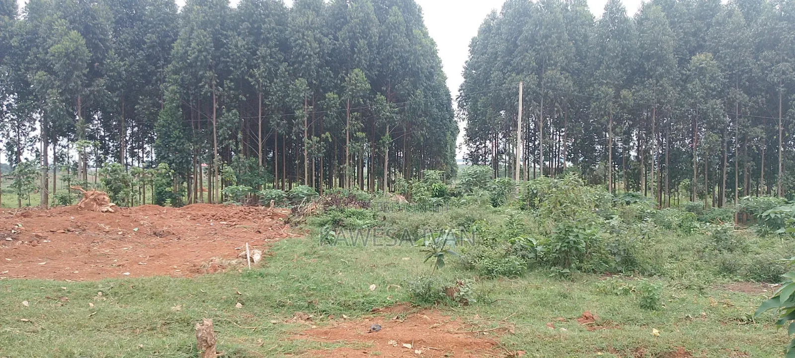 One Acreon Sale With Lake View at Buwaya