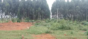 One Acreon Sale With Lake View at Buwaya