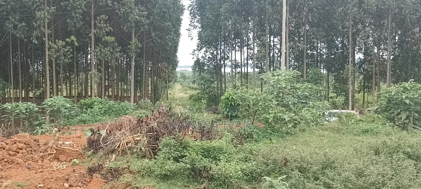 One Acreon Sale With Lake View at Buwaya