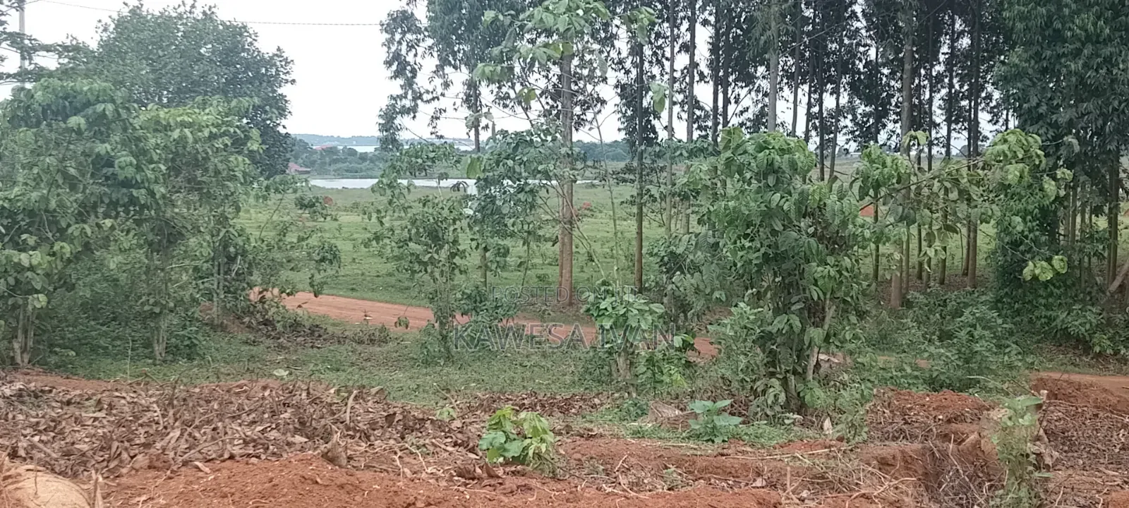 One Acreon Sale With Lake View at Buwaya