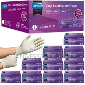 Vinyl Examination Gloves (Powder-Free, Large, 10-Box 1,000 Gloves).