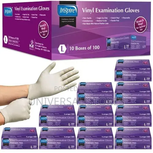 Vinyl Examination Gloves (Powder-Free, Large, 10-Box 1,000 Gloves).