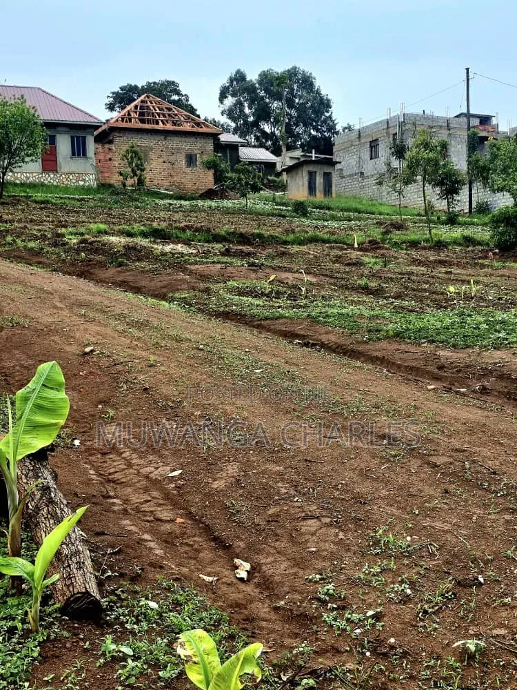 Plots on Sale at Gayaza Near Town