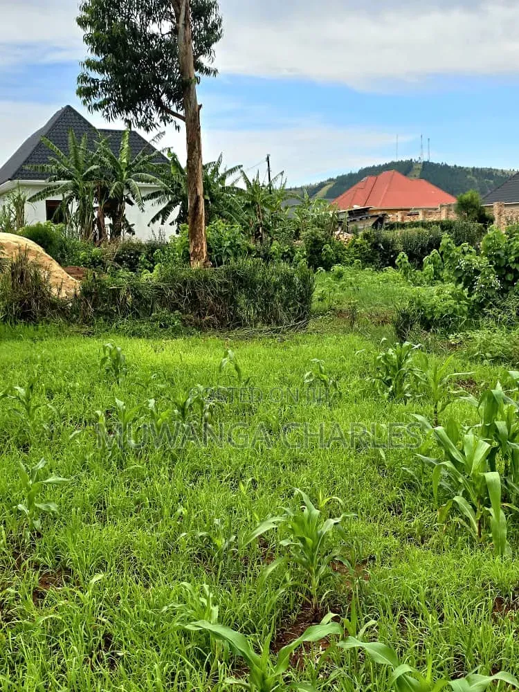 Plots on Sale at Matugga Migadde
