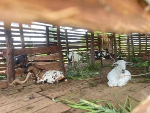 2.5acres on Sale at Matugga Kapeeka