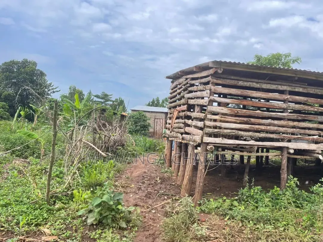 2.5acres on Sale at Matugga Kapeeka