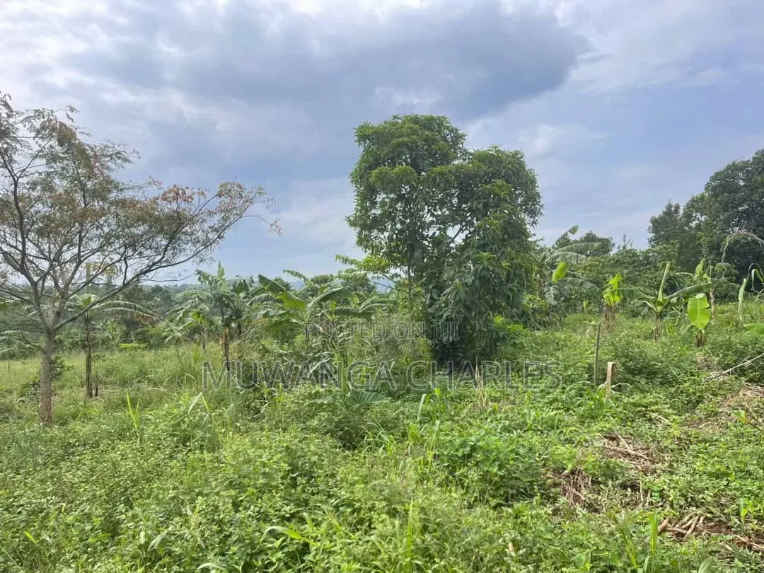2.5acres on Sale at Matugga Kapeeka