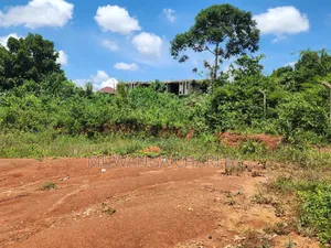 Plot on Sale at Buwate Kungu Main