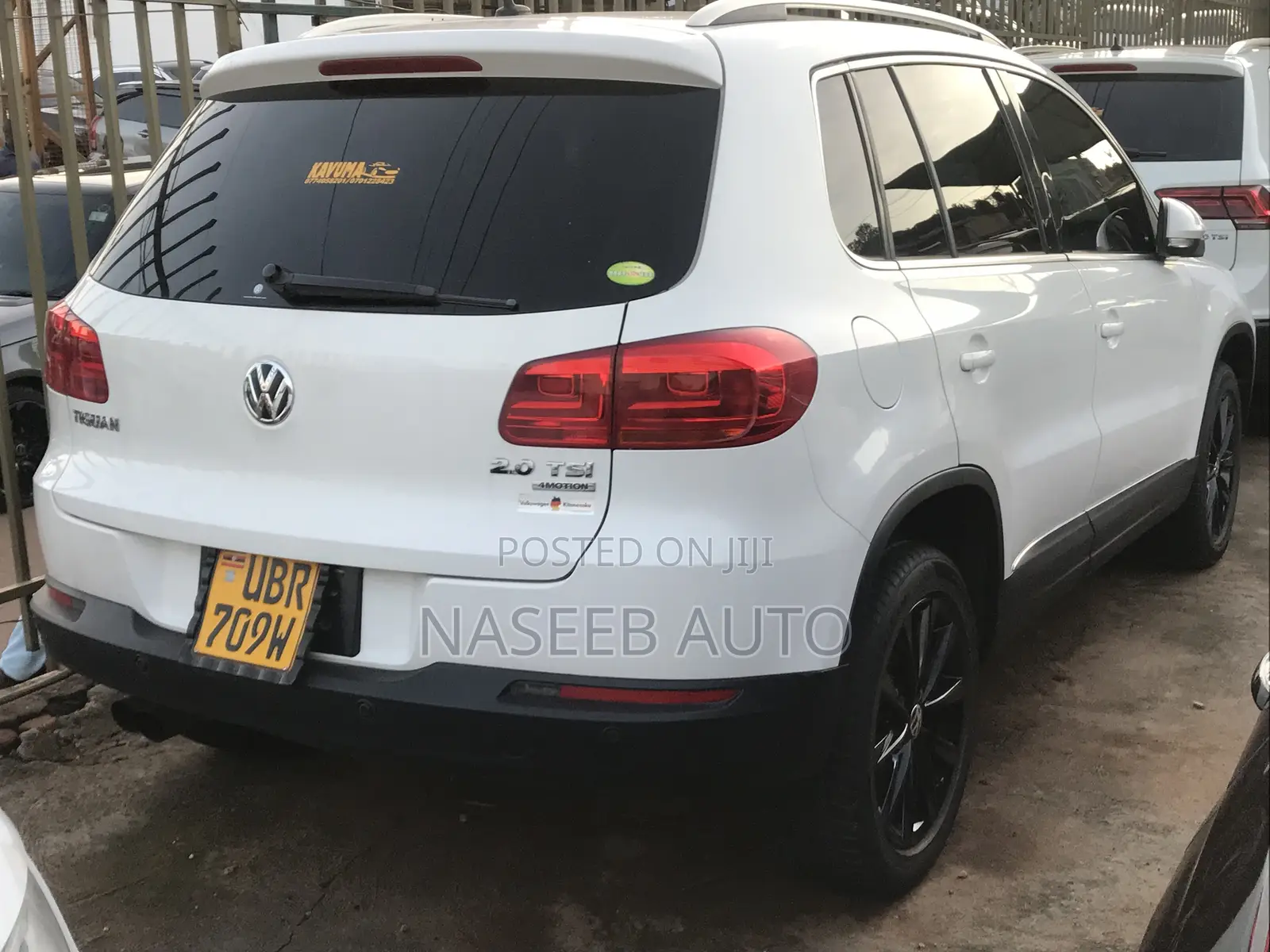 Volkswagen Tiguan 2010 White
