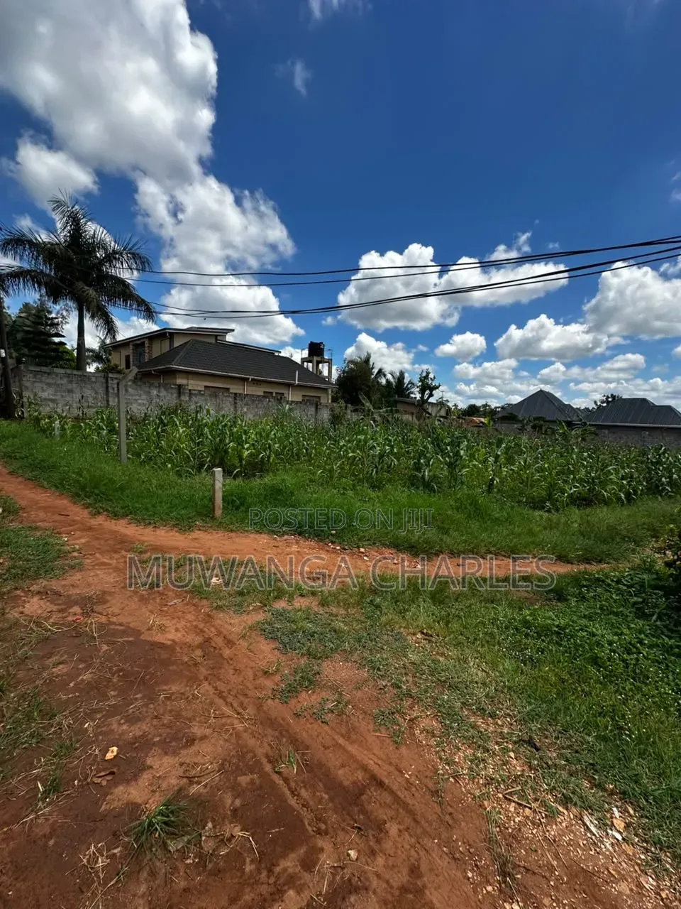 100by100ft on Sale at Kungu After Kyanja