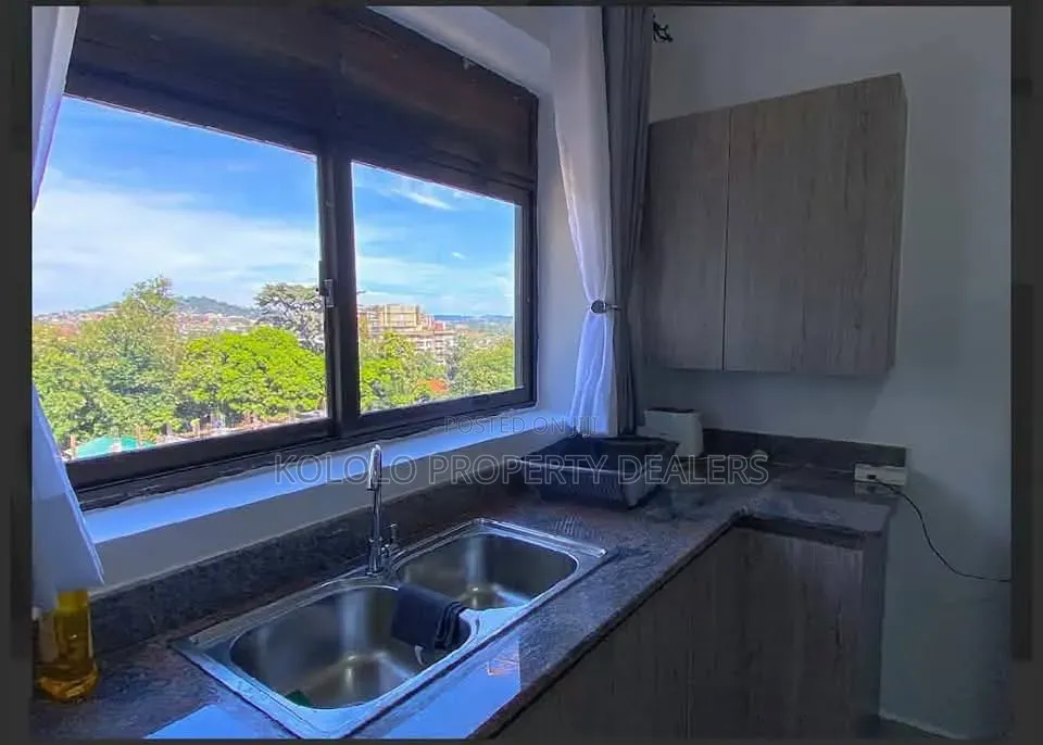 Furnished 2bdrm Apartment in Kololo, Central Division for rent
