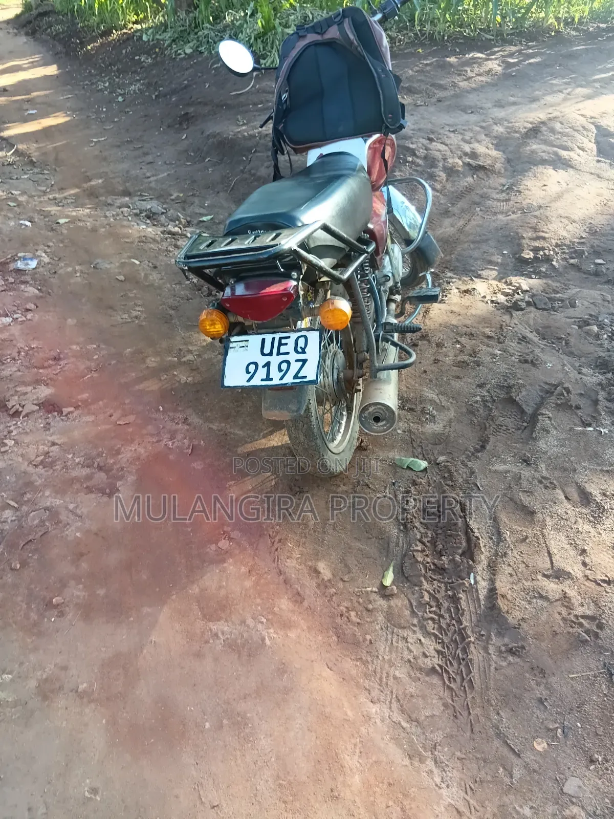 Bajaj Boxer 100 2017 Red