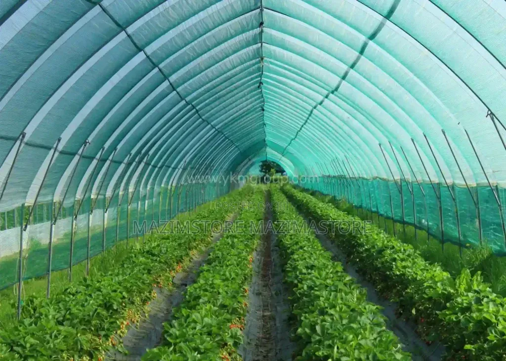 3x50 Meters Green House Net